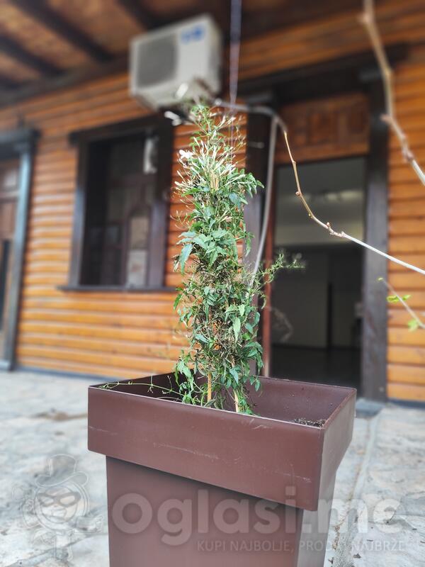 Potrebna 3 konobara/sankera GEO cafee-u