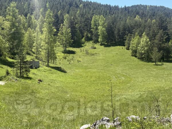 Građevinsko zemljište 500m2 - Žabljak - Borje