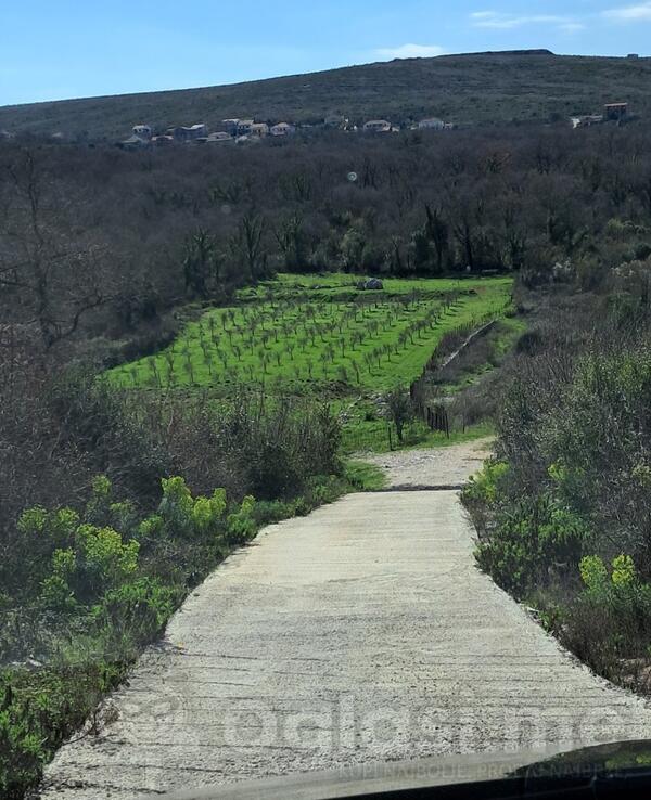 Građevinsko zemljište 8000m2 - Kotor - Vranovići