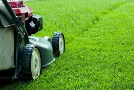 Ciscenje apartmana i kosenje trave-Zabljak