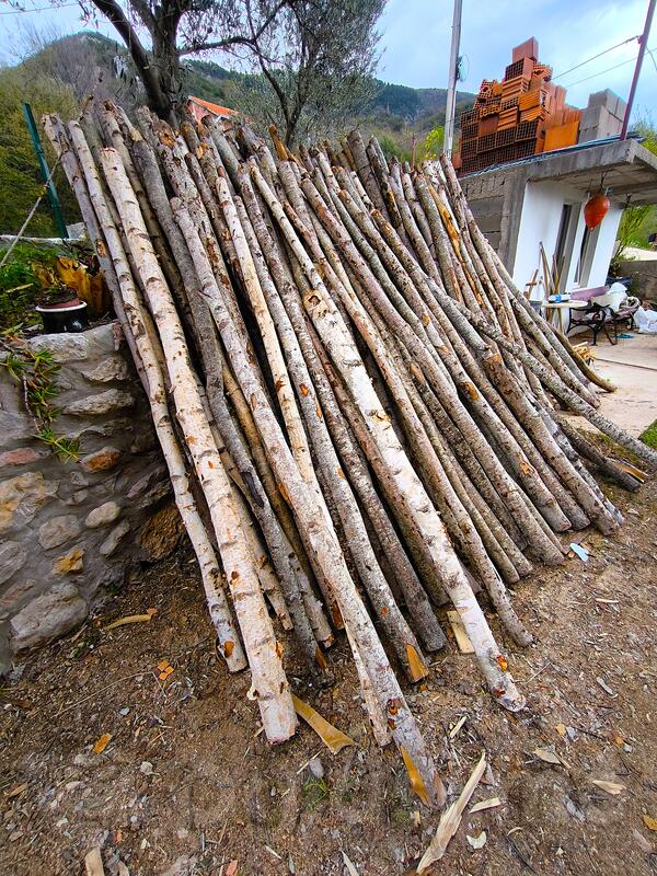 Podupiraci / Sprajcevi