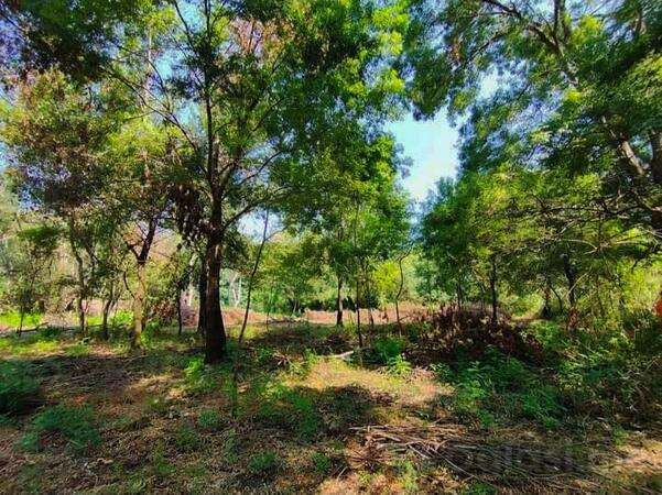 Građevinsko zemljište 1860m2 - Podgorica - Berislavci