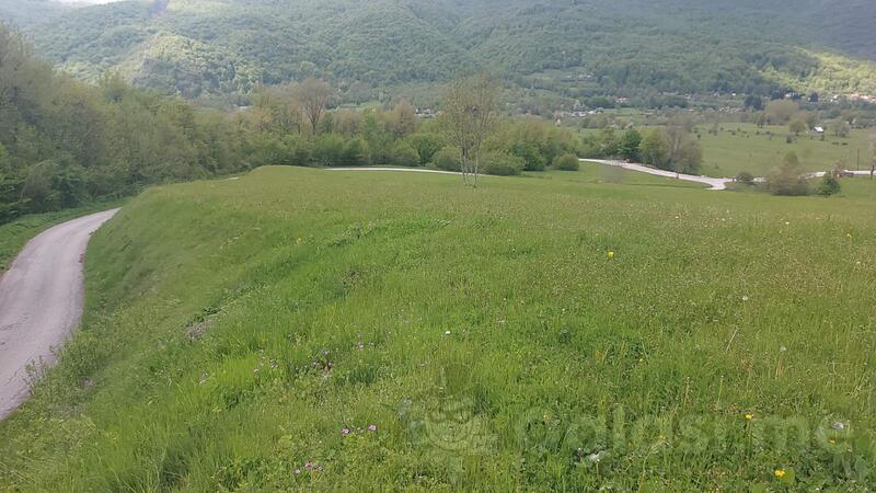 Građevinsko zemljište 10500m2 - Kolašin - Plana