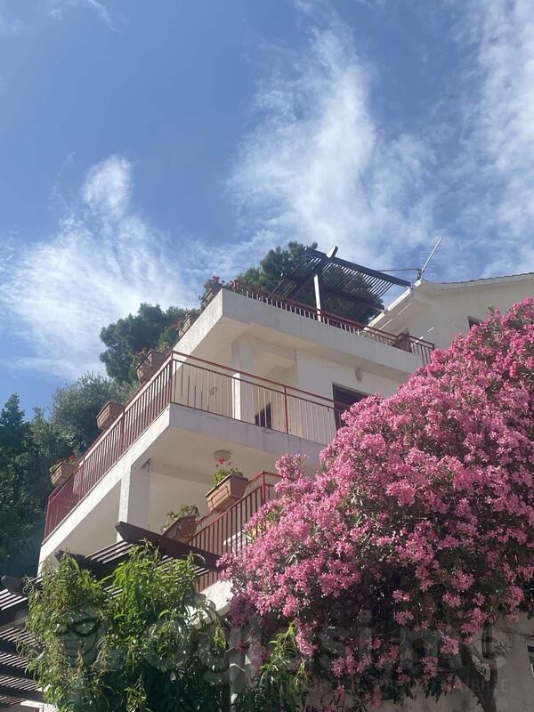 Potrebna zena sa iskustvom u odrzavanju apartmana od 8h - 13h u Petrovcu. Dobri uslovi, smjestaj nije obezbjedjen