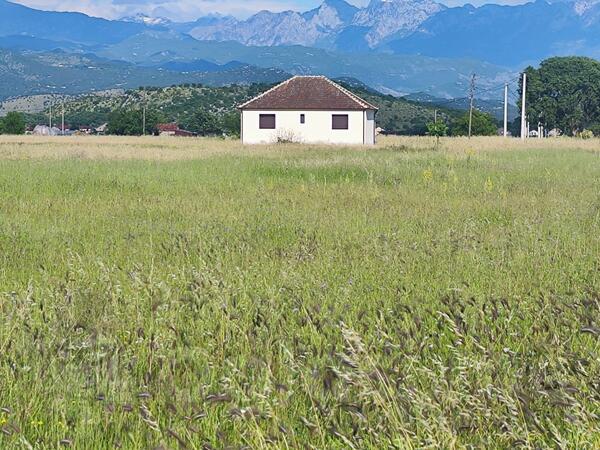 Poljoprivredno zemljište 108000m2 - Podgorica - Golubovci