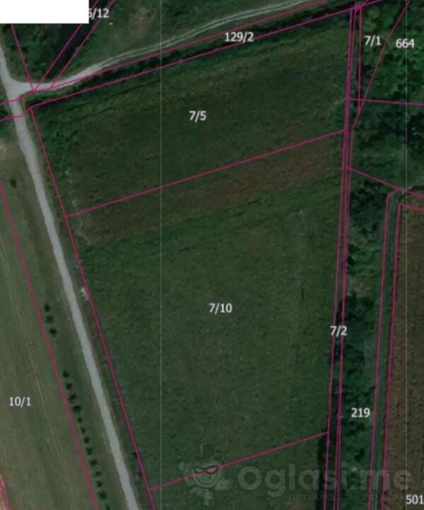 Građevinsko zemljište 5500m2 - Ruma - Voganj