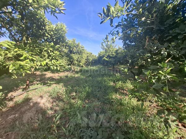 Poljoprivredno zemljište 2200m2 - Ulcinj - Zoganj