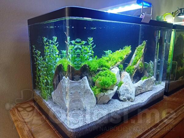 Prodajem komplet akvarium sa ribicama