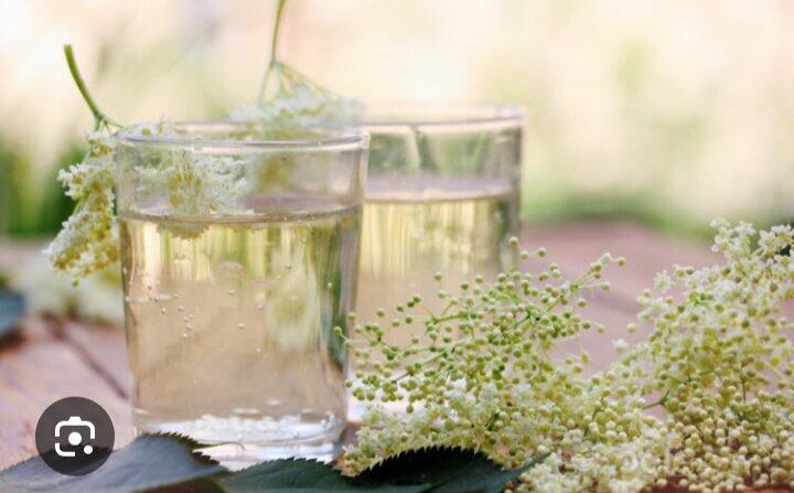 Domaći sirup od zove/bazge