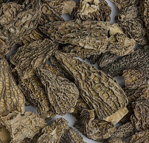 Prodajem suvi smrčak 