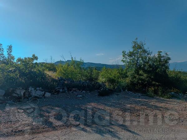 Poljoprivredno zemljište 30962m2 - Podgorica - Lješanska nahija