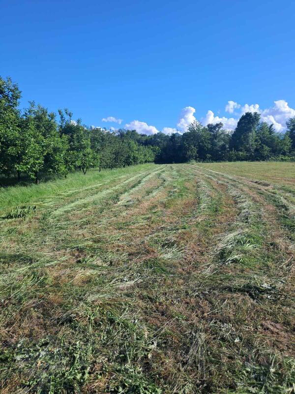 Poljoprivredno zemljište 2980m2 - Podgorica - Zeta