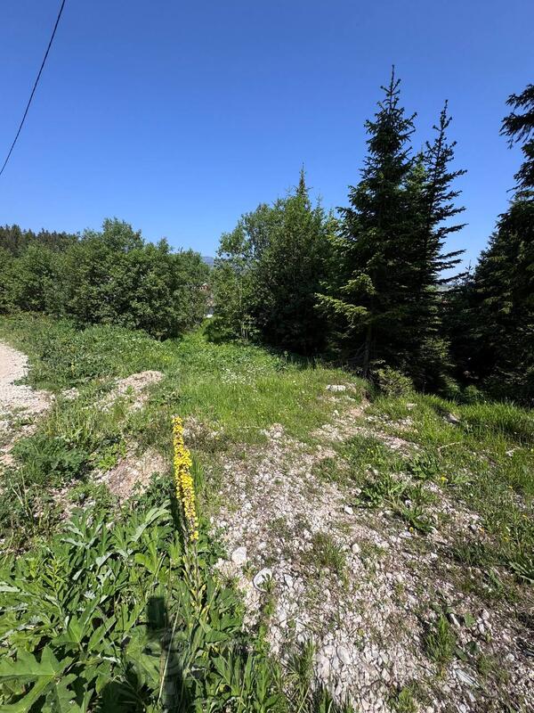 Građevinsko zemljište 300m2 - Žabljak - Centar grada