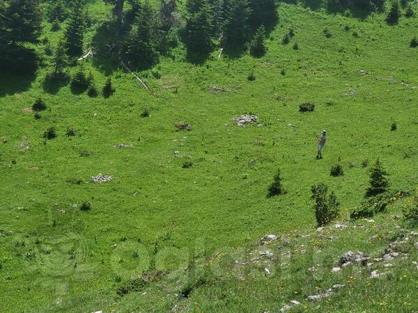 Poljoprivredno zemljište 1000m2 - Bijelo Polje - > Okolina grada