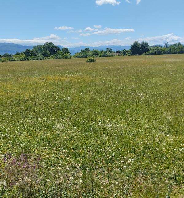 Industrijsko zemljište 5534m2 - Danilovgrad - Ćurilac