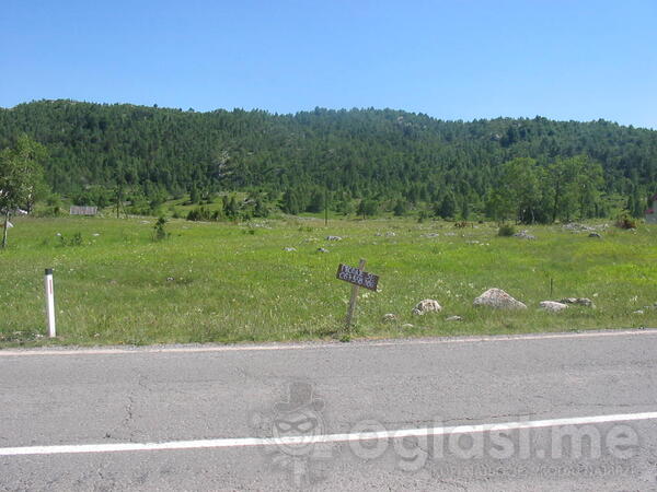 Građevinsko zemljište 591m2 - Žabljak - Tepačko Polje