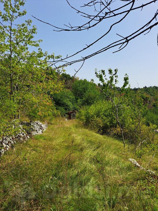 Građevinsko zemljište 18600m2 - Danilovgrad - Dolovi