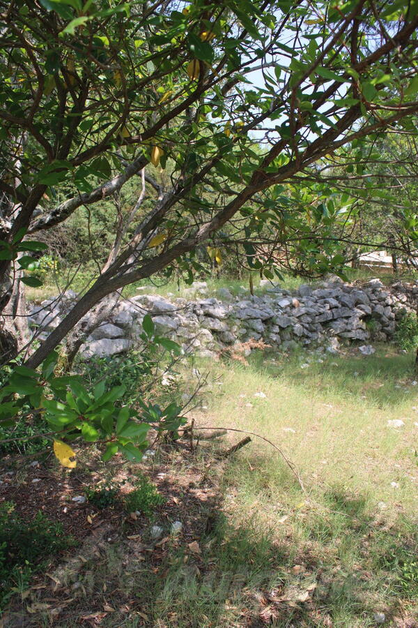 Poljoprivredno zemljište 300m2 - Herceg Novi - Luštica