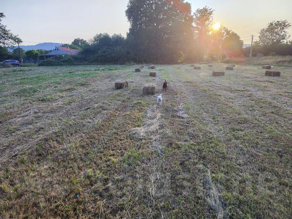 Industrijsko zemljište 3876m2 - Danilovgrad - Spuž