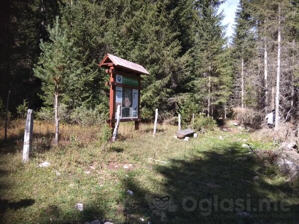 Poljoprivredno zemljište 17803m2 - Žabljak - Borje