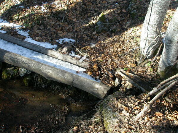 Poljoprivredno zemljište 100000m2 - Kolašin - Mujića Rečine