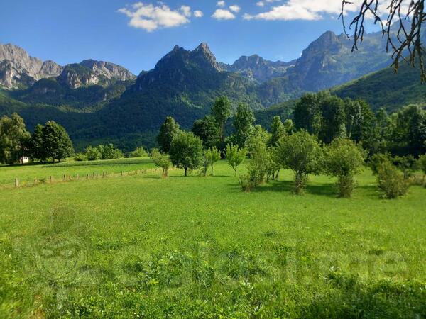 Poljoprivredno zemljište 9000m2 - Kolašin - Gornje Lipovo