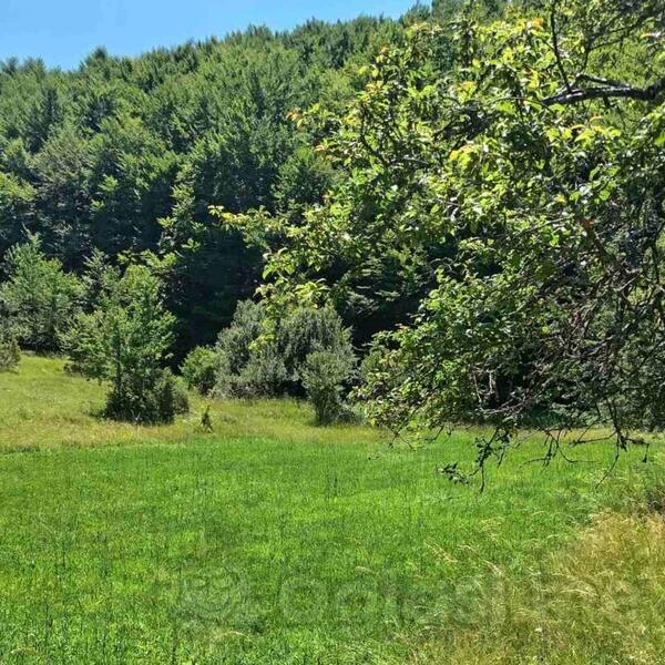 Poljoprivredno zemljište 777m2 - Danilovgrad - Brijestovo