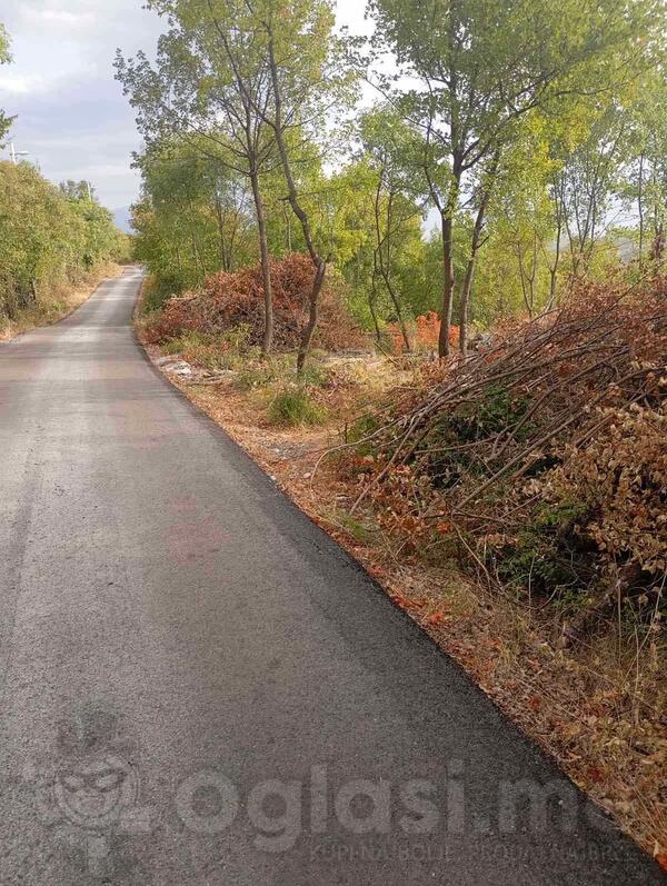 Poljoprivredno zemljište 15300m2 - Podgorica - > Okolina grada