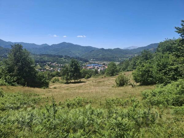 Građevinsko zemljište 8000m2 - Kolašin - Bašanje Brdo