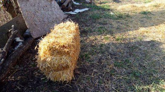 Balirana slama od pšenice