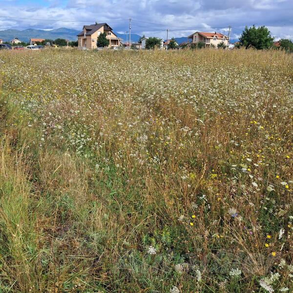 Građevinsko zemljište 5500m2 - Nikšić - Kličevo