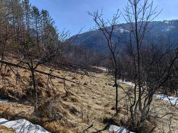 Građevinsko zemljište 13000m2 - Knjaževac - Crni Vrh