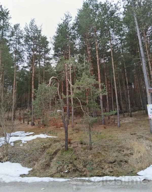 Građevinsko zemljište 1143m2 - Čajetina - Zlatibor