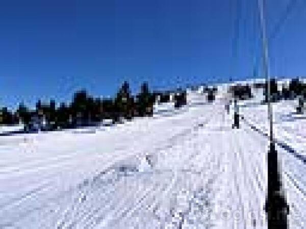 Najpovoljniji Turisticki aranzmani za Zimovanje Sezona 2025/2026 godine Austrija, Italija, Svajcarska, Crna gora i Srbija, Bosna i Hercegovina 