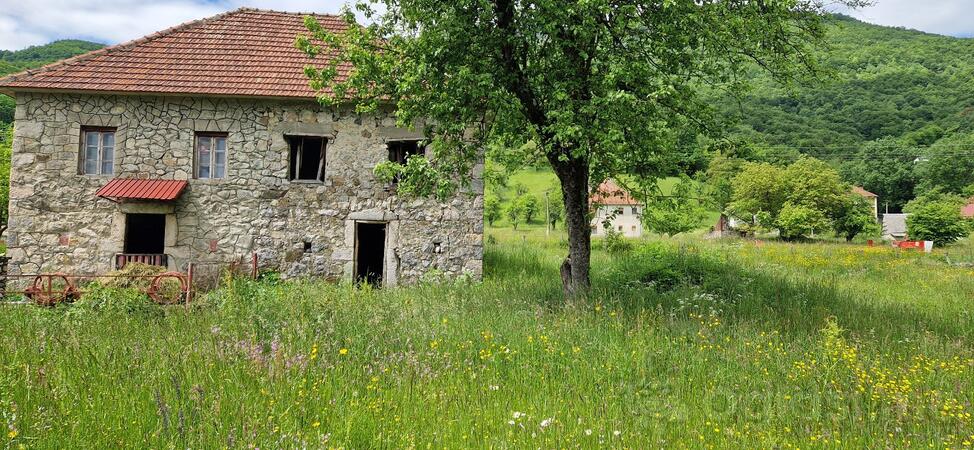Poljoprivredno zemljište 5300m2 - Mojkovac - Donja Polja