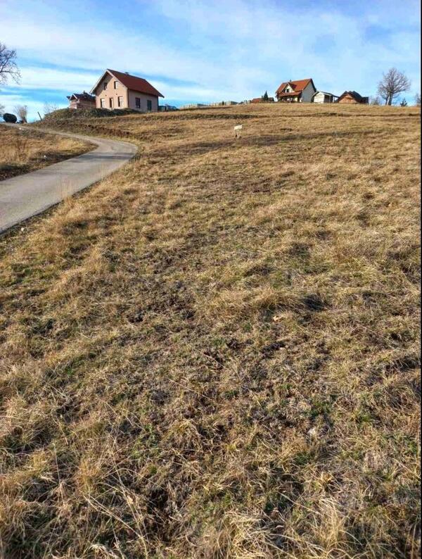 Građevinsko zemljište 3291m2 - Čajetina - Zlatibor