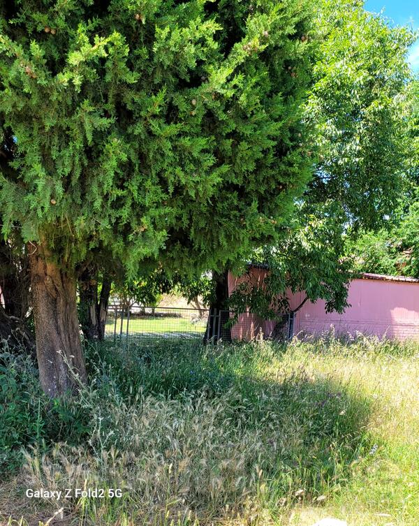 Građevinsko zemljište 300m2 - Podgorica - Rogami