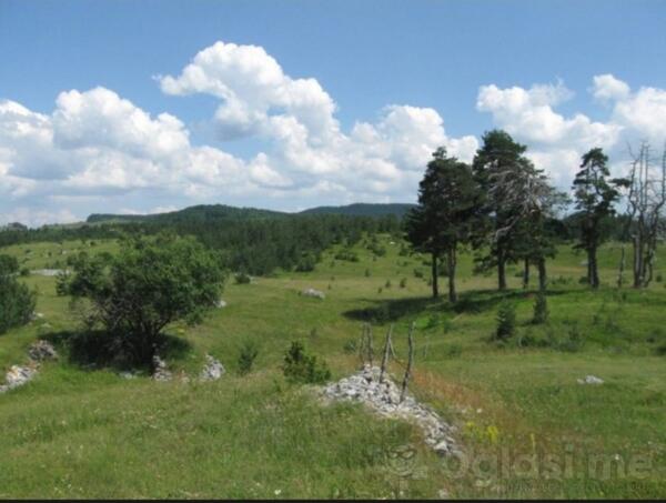 Poljoprivredno zemljište 10560m2 - Žabljak - Njegovuđa