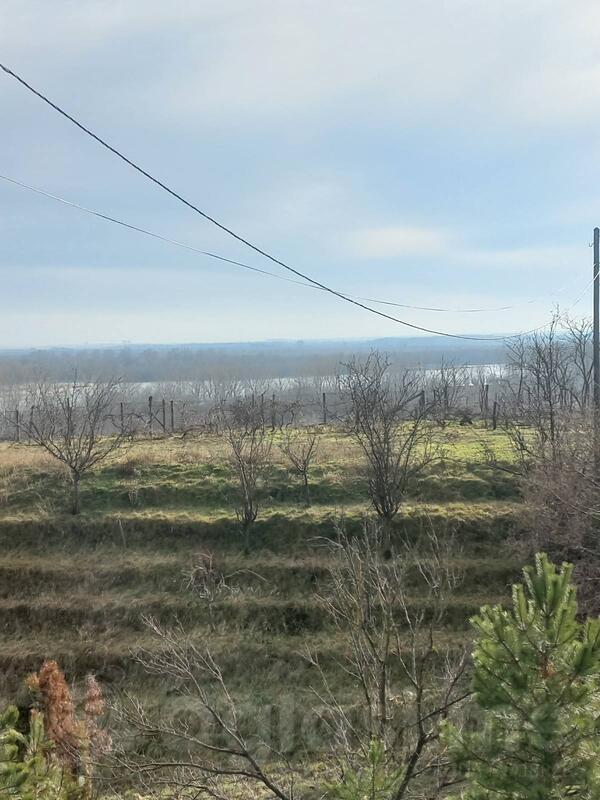 Građevinsko zemljište 5200m2 - Stara Pazova - Belegiš