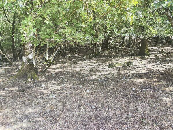 Poljoprivredno zemljište 19600m2 - Danilovgrad - Vinići