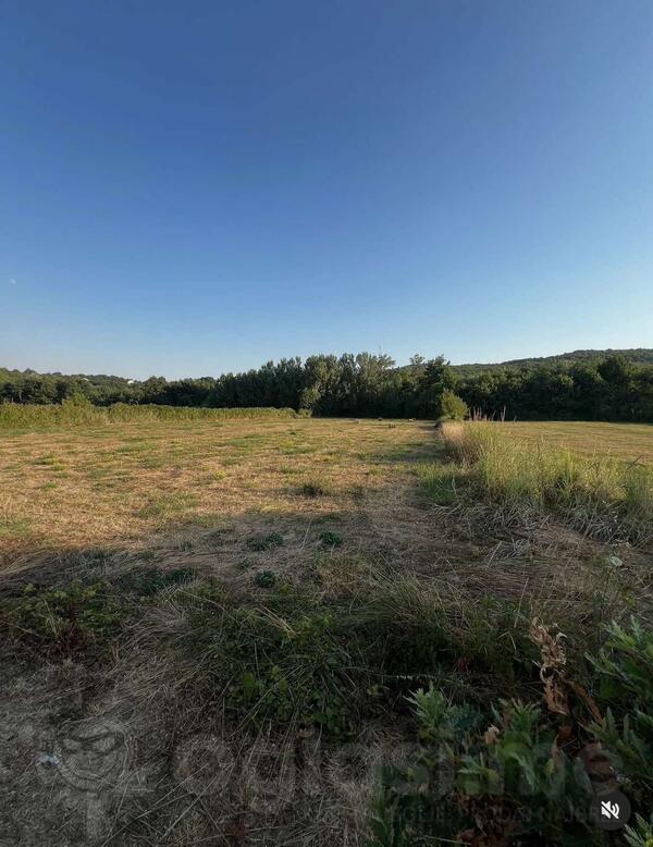 Poljoprivredno zemljište 4271m2 - Danilovgrad - Novo Selo