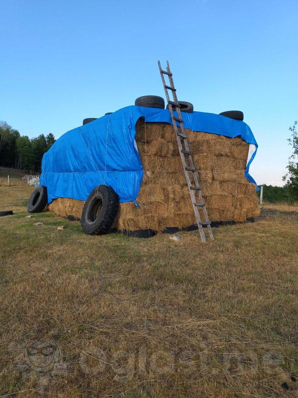 Prodajem balirano sijeno