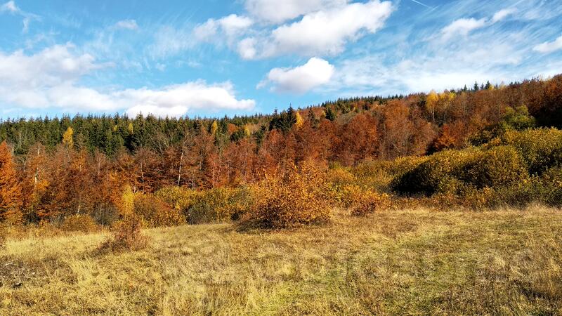 Građevinsko zemljište 23000m2 - Kolašin - Smailagića Polje