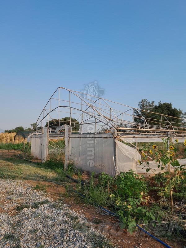 Prodajem dva plastenika (jedan veci I jedan manji)