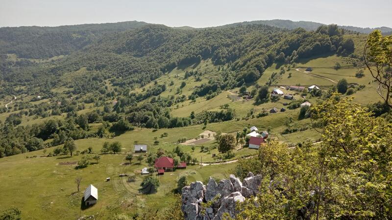 Poljoprivredno zemljište 170000m2 - Mojkovac - Žari