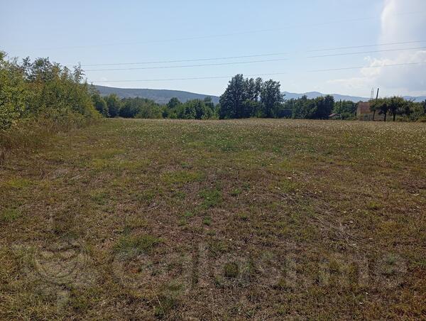 Poljoprivredno zemljište 8000m2 - Podgorica - Crnci