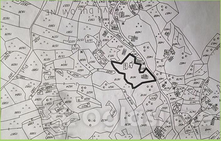 Građevinsko zemljište 33612m2 - Cetinje - Začir