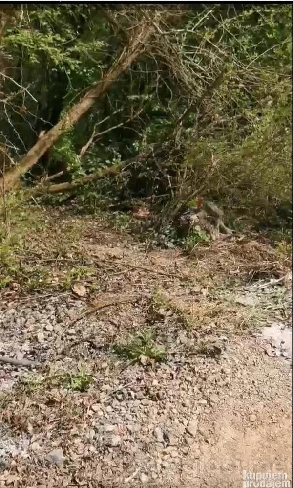 Građevinsko zemljište 2100m2 - Sopot - Popović