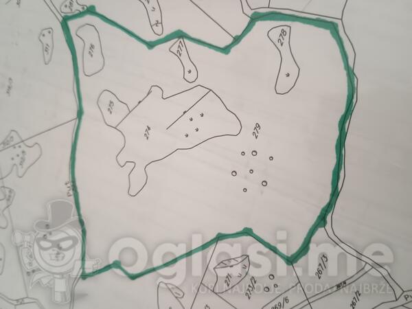 Poljoprivredno zemljište 43500m2 - Podgorica - Baloči