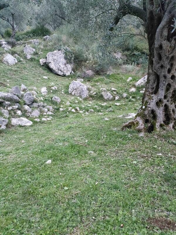 Košenje trave  orezivanje voća i ograde